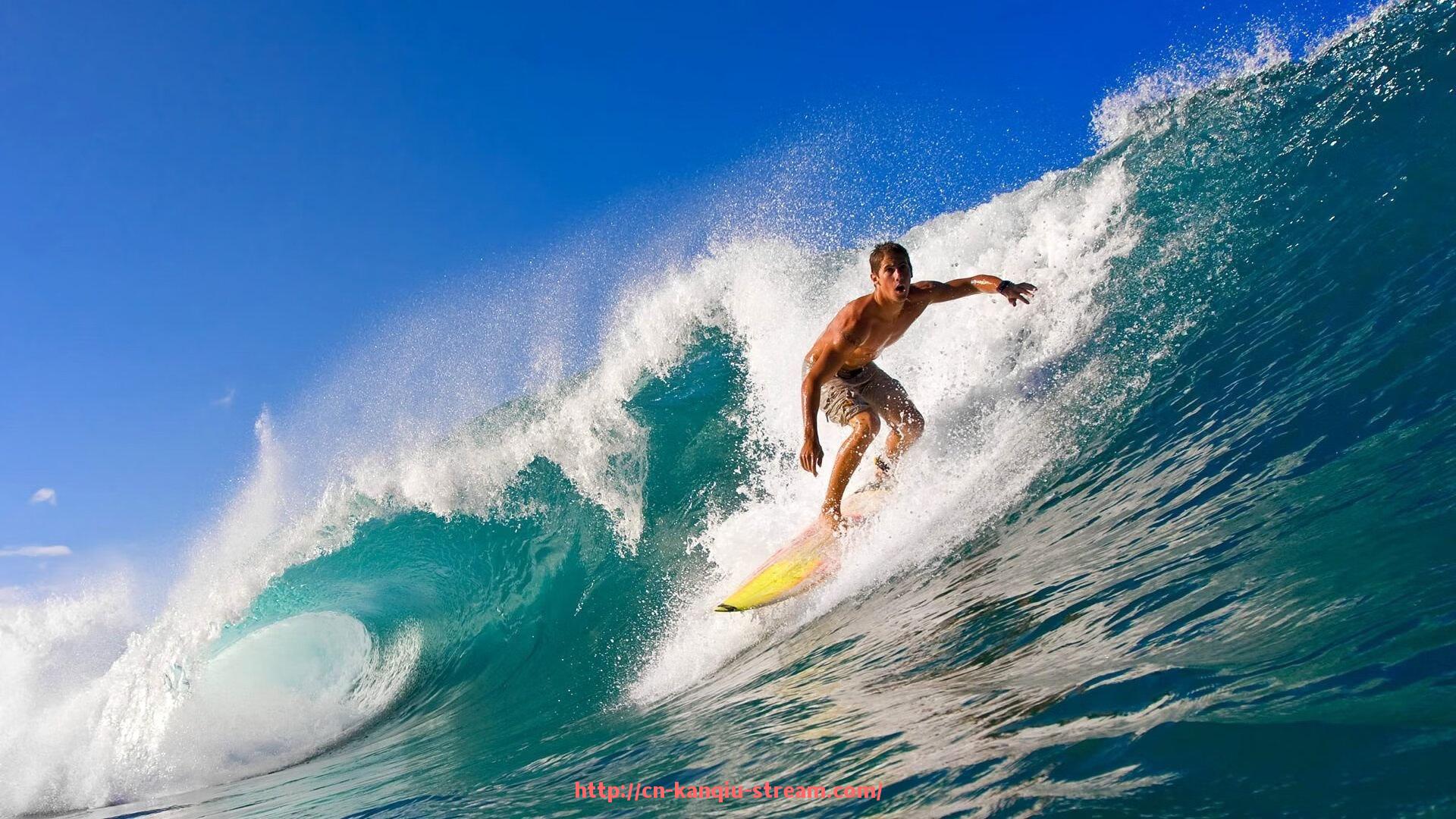 看球直播-球迷太狂热？盘点世俱杯十大恶搞行为